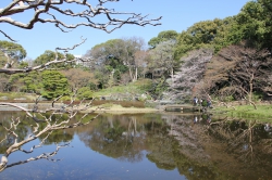 Japon