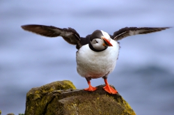 Islande