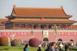Chine