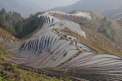 Chine